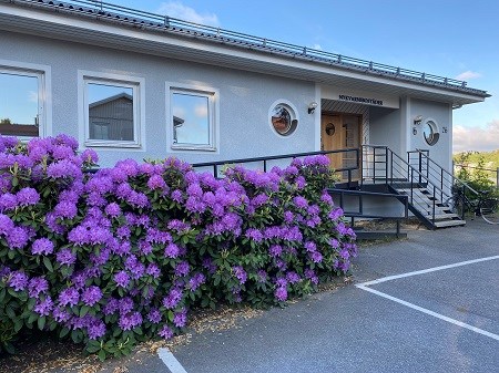 Skogsvägen 1 - Problem med avloppsledning