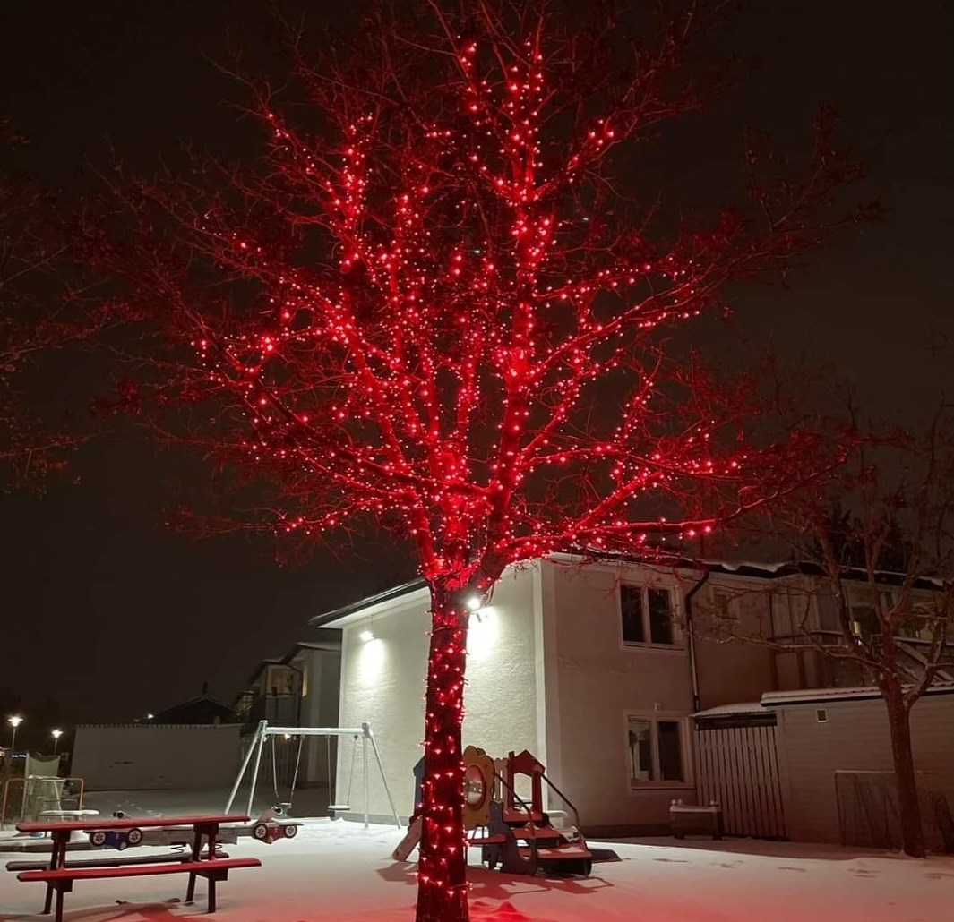 Ljusprogram Nybo